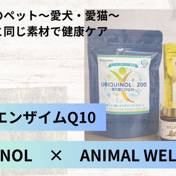 大切な家族と、同じ目線の健康ケア～愛犬・愛猫と同じ素材でコンディショニング～